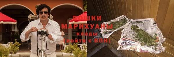 хмурый Козловка