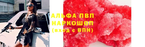 мдпв Козельск