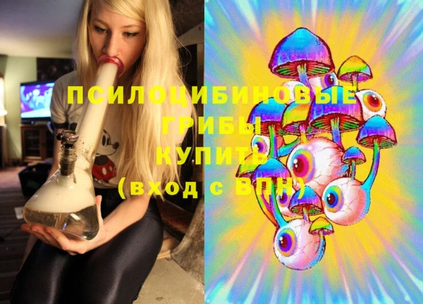 хмурый Козловка