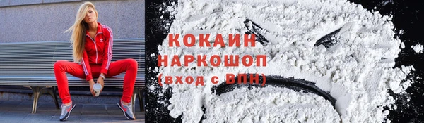 хмурый Козловка