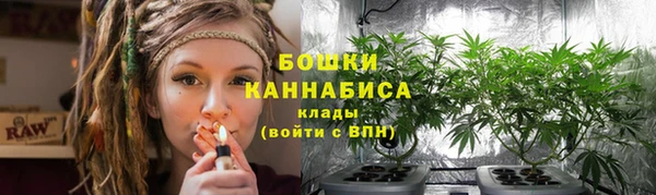 мдпв Козельск