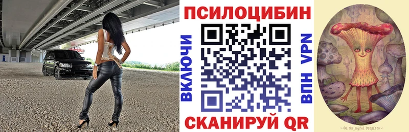 Галлюциногенные грибы MAGIC MUSHROOMS  Новотитаровская 